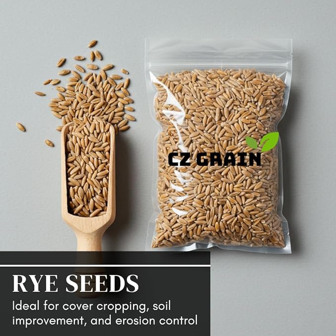 Rye Grass Seed - Fast Growing and Hardy Grass, Cover Crop, Food Plot. Grazing Pasture Seeds (50 Pounds)