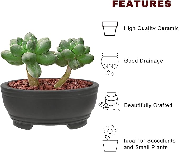 Bonsai Planter 2 pc 3.9" + 4.1" Unglazed Round Ceramic Succulent Pots Set