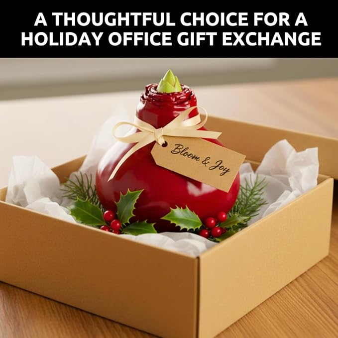 Large Waxed Red Blooming Amaryllis Bulb - Red Dipped Bulb - Grow Indoors – No Watering or Soil Needed - Live Holiday Gift Plant - Christmas Gift Exchange Idea - Favorite Things Party (1 Bulb)