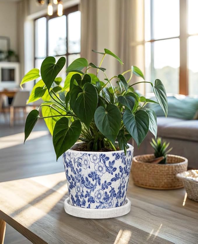 Ceramic Pot for Plants 5.5 inch Blue and White Pot for Plants Small Chinoiserie Planter Pots with Drainage Hole and Saucers Outdoor Inoor Blue Flower Pots for Succulent, Cactus, Snake Plant, Herb