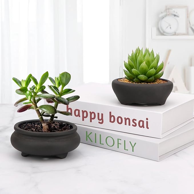 Bonsai Planter 2 pc 3.7" + 3.9" Unglazed Round Ceramic Succulent Pots Set