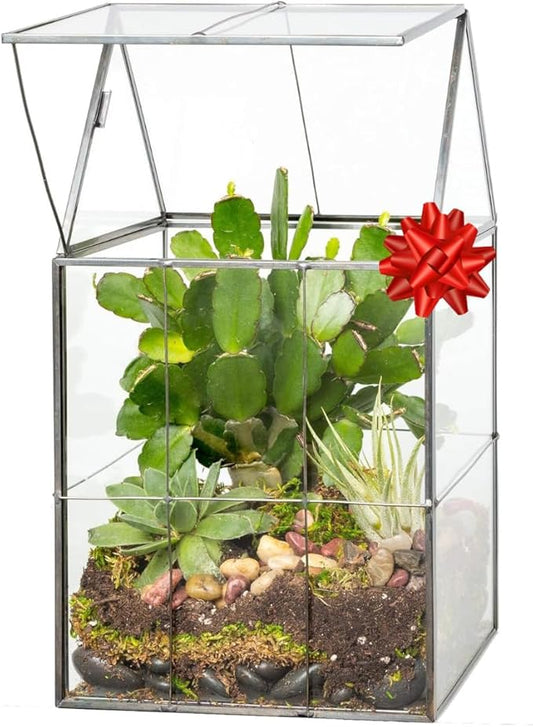 D'Eco Glass Geometric Centerpiece (6x5x11)- Tabletop Planter Terrarium for Home Decor & Wedding Letterbox- Fill w/Succulents, Holiday Decorations, Mini Trees & Ornaments- Xmas Gift for Plant Lovers