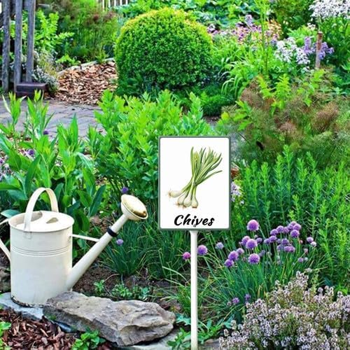 FemiaD Plant Label Signs Planted Herb Garden Markers Waterproof Aluminum Plant Stake Tags Chives Sign for Nursery Indoor Outdoor Garden Decoration 8x12inch