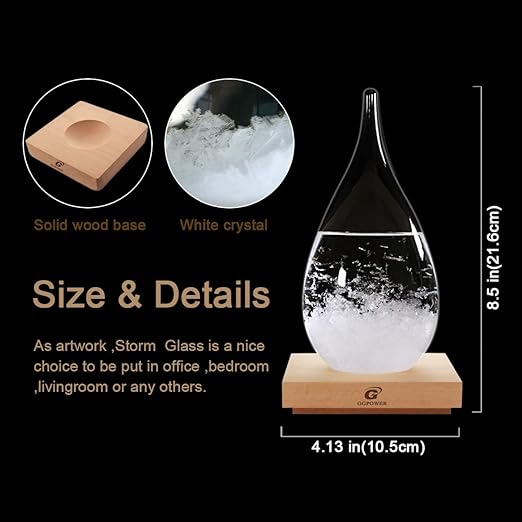 Storm Glass Weather Predictor Snow Globes for Adults Galileo Thermometer Indoor Creative Forecast Nordic Style Decorative