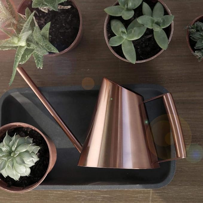 Watering Can for Indoor Plants, Stainless Steel Long Narrow Spout Bonsai Flower Watering Can Pot for Home Garden Patio Yard(S)