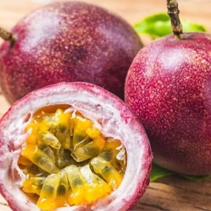 Live Passionfruit Plant Vine - 6 to 8 Inches Tall, Hardy and Fruit-Bearing, Purple Passion Fruit Tree Live Plant, for Planting Home Gardens and Containers