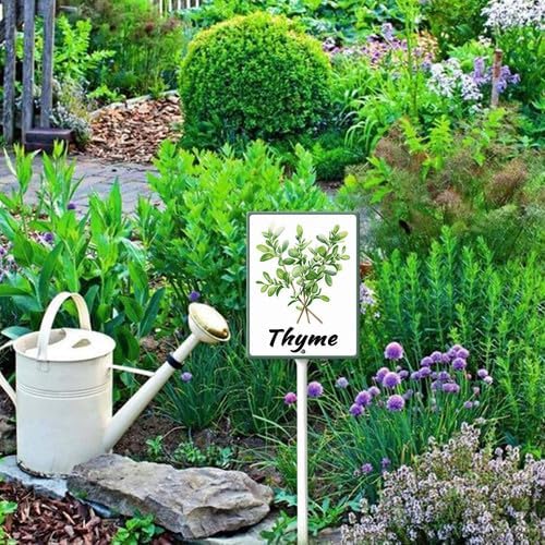 FemiaD Plant Label Signs Planted Herb Garden Markers Waterproof Aluminum Plant Stake Tags Thyme Sign for Nursery Indoor Outdoor Garden Decoration 4.6x6inch