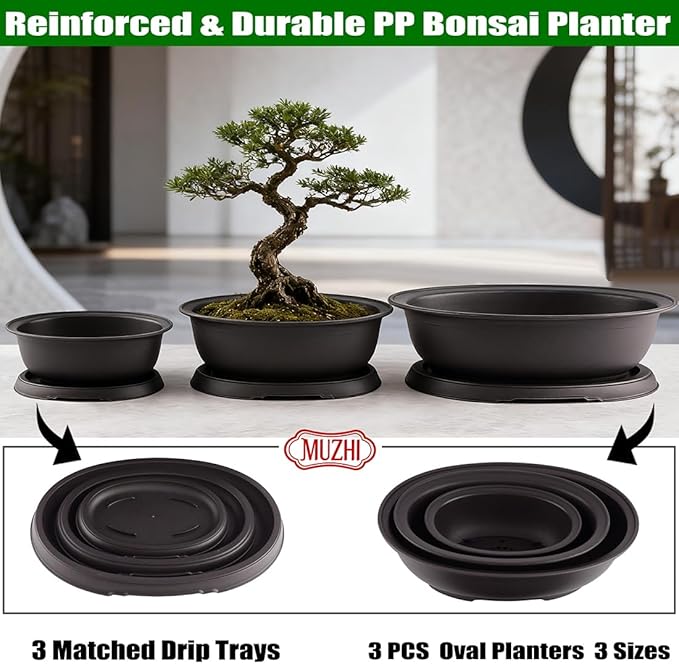 MUZHI 3 Pack Mixed Size Oval Bonsai Planter Pot with Drainage Tray, Matte Finish Ellipse Plastic Bonsai Succulent Growing Pot for Home Garden Plant Container 9.1” 7.2” 5.2”