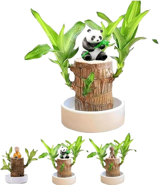 Brazilian Lucky Wood, Brazil's Lucky Tree Doesn't Need to Wait to Sprout, Hydroponic Stump for Purifying Indoor Air, Office Desk Decorations Plant Pot (A)