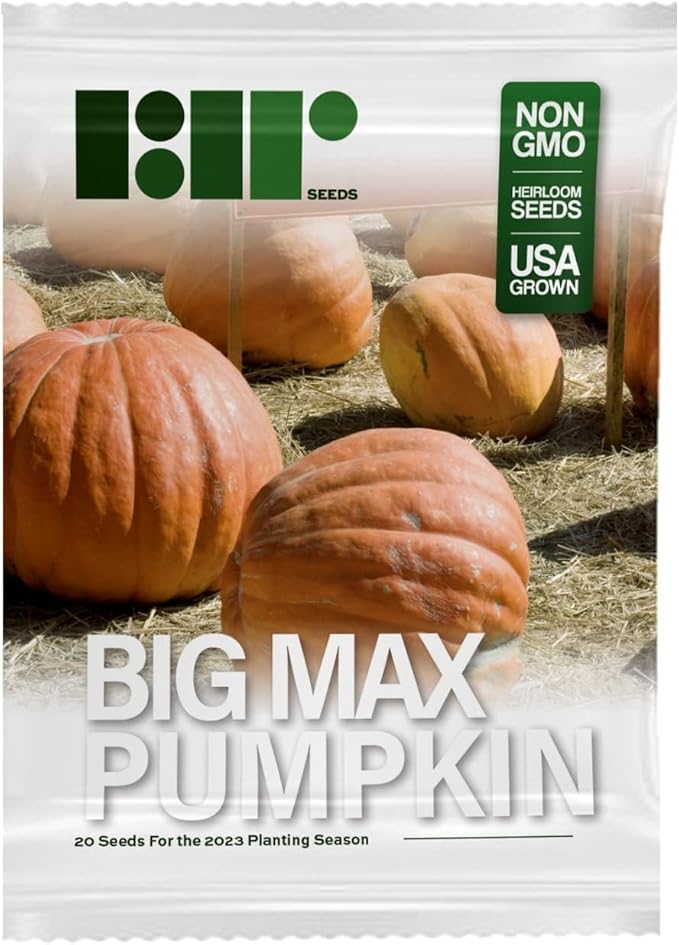 20 Big Max Pumpkin Seeds for Planting - Heirloom Non-GMO USA Grown Premium Vegetable Seeds for Planting - Grows Big Giant Pumpkins up to 100 lbs! Grown for Pies and Halloween Jack O Lanterns
