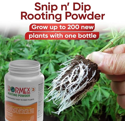 Hormex Rooting Powder #3, Rooting Cubes & Shears Combo - Rooting Hormone for Common Houseplant Cuttings | Root Starter Cubes for Home & Garden Plants | Precision Straight-Blade Shears (50 Grow Plugs)