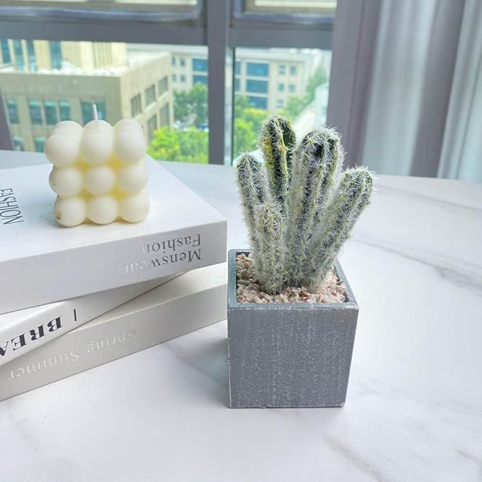 Cactus Artificial Plants in Gray Pots, Realistic Faux Cactus Potted Décor for Home, Office, Kitchen, Living Room, Desk, Shelf, and Indoor Decoration (Cylinder)