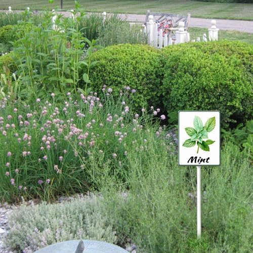 FemiaD Plant Label Signs Planted Herb Garden Markers Waterproof Aluminum Plant Stake Tags Mint Sign for Nursery Indoor Outdoor Garden Decoration 8x12inch
