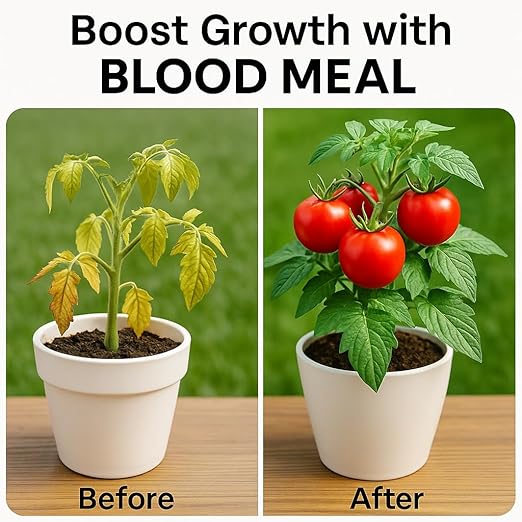 𝐁𝐄𝐒𝐓𝐒𝐄𝐋𝐋𝐄𝐑 Organic Blood Meal Fertilizer by Gardenera - 12-0-0 NPK - All-Natural Plant Food Source of Nitrogen for Organic Gardening, Flowers, Vegetables, Trees & Shrubs - 2 QUARTS