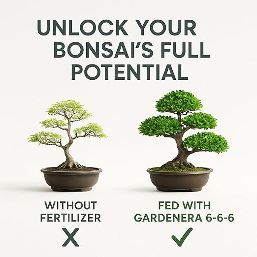 𝐁𝐄𝐒𝐓𝐒𝐄𝐋𝐋𝐄𝐑 Bonsai Fertilizer Pellets – Slow-Release Bonsai Tree Fertilizer & Food for Compact Growth, Dense Branching & Healthy Roots | Ideal for All Bonsai & Money Trees [8 OZ]