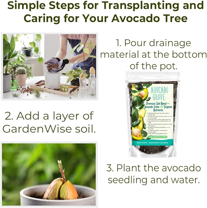 Avocado Tree Soil – Premium Organic Potting Mix for Avocado Trees | Tailored pH & Organic Nutrients | Fast-Draining & Moisture-Retaining | Indoor & Outdoor Use (10 QUARTS)