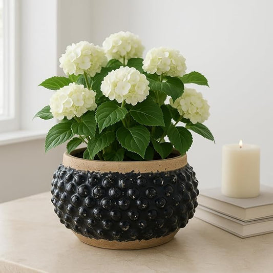 Flower Pots and Planters for Home Decor – Textured Pot for Indoor and Outdoor Display – Unique Design That Enhances House, Garden, and Patio Decor – Bring Style to Every Space – 7" Black & Brown
