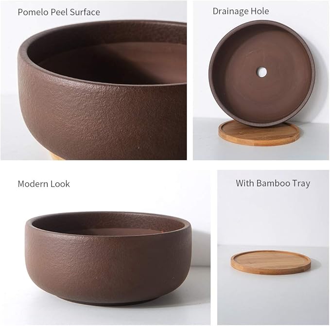 SQOWL Terracotta Bonsai Planter Pot for Succulent 8 Inch Pottery Round Planter Cactus Clay Flower Pot with Drain Hole and Bamboo Tray Indoor Outdoor