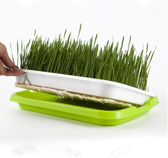 Plastic Growing Trays, Seed Tray with Germination Layer and Water Storage Layer, Double-Layer Design, for Seedlings, Indoor Gardening, Growing Microgreens, Wheatgrass(Purple)