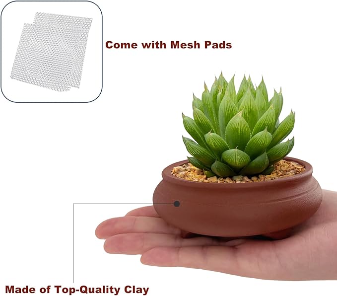 Bonsai Planter 2 pc 3.9" + 4.1" Unglazed Round Ceramic Succulent Pots Set