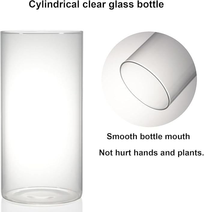 Desktop Glass Plant Terrarium with Grow Light (H:7.8" D:4"), for Succulent, Moss, Miniature Gardening Landscape, Betta Fish Tank, Office Home Decoration, Plant Lovers Gifts