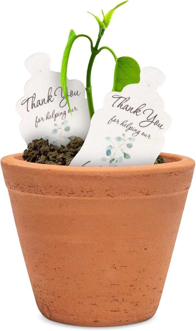 Baby Bottle Shaped Seed Paper – 15Pcs Green Baby Shower Favors for Guests with Wildflower Seeds, Writable & Plantable, Gender Reveal, Birthday Gifts for Guest