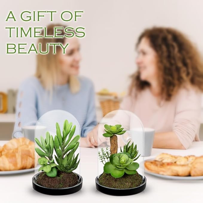 Set of 2 Artificial Succulents Plants in Glass Dome with Featuring Sand Moss, Small Fake Aloe Succulents Plants Faux Plants Indoor Decor for Home Office Table Desk Shelf Room Hostess Gift