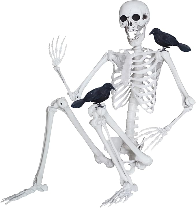 5.4ft/165cm Halloween Skeleton with Realistic Crows Full Body Plastic Human Bones with Movable Joints for Indoor Outdoor Halloween Decor
