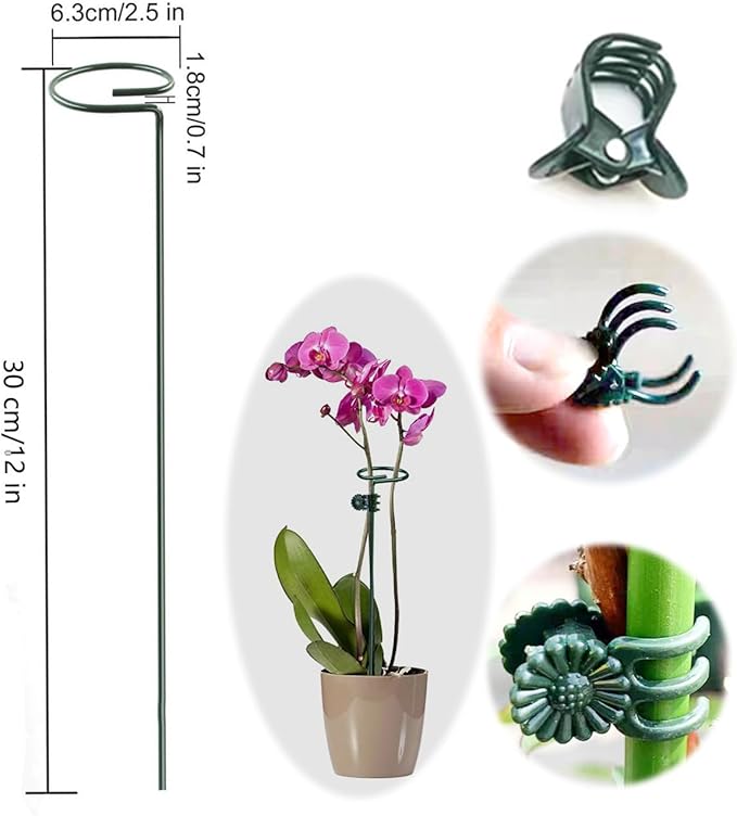 10 pcs 12 inch Metal Single Stem Flower Plant Support Stakes and Rings for Amaryllis Orchid Lily Sunflower Rose Narcissus
