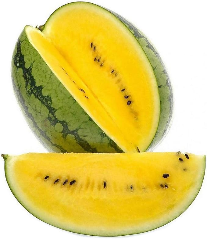 Seeds Yellow Watermelon 11 lbs - Fruits for Planting - GMO Free