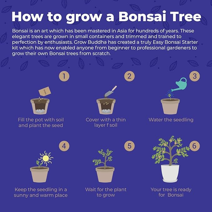 Grow Your Own Bonsai kit | Tree Plants & Seeds | Crafts Hobby Kits | Easily Grow 4 Types of Bonsai Trees with Our Complete Beginner Friendly Kit | Christmas Gift Ideas for Plant Lovers
