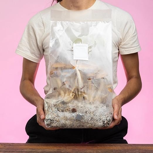 (4-Pack) North Spore 'ShroomTek' + Spore Boostr All-in-One Mushroom Grow Bag | Grow Dung-Loving Mushrooms Like Magic Right in The Bag | Just Add Your Own Spores | Made by Mycologists