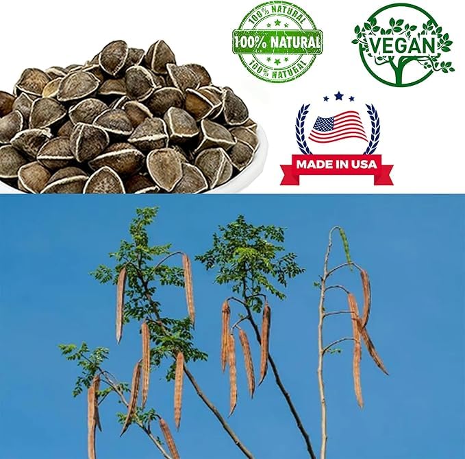 1LB Premium Moringa Seed, 100% Natural Moringa Oleifera, Malunggay, Drumstick Tree Seeds from India Planting, Superfood, Nutritional, Rich in Vitamins Edible Seeds 16oz/Bag