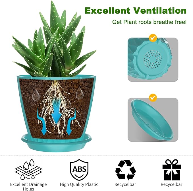 6 Inch Plant Pots with Saucers, 6 Pack Indoor Flower Pots, Planters with Drainage Holes for Orchids, Violets, Succulents, Herbs, and Other Plants, White (Black-Green, 6inch)