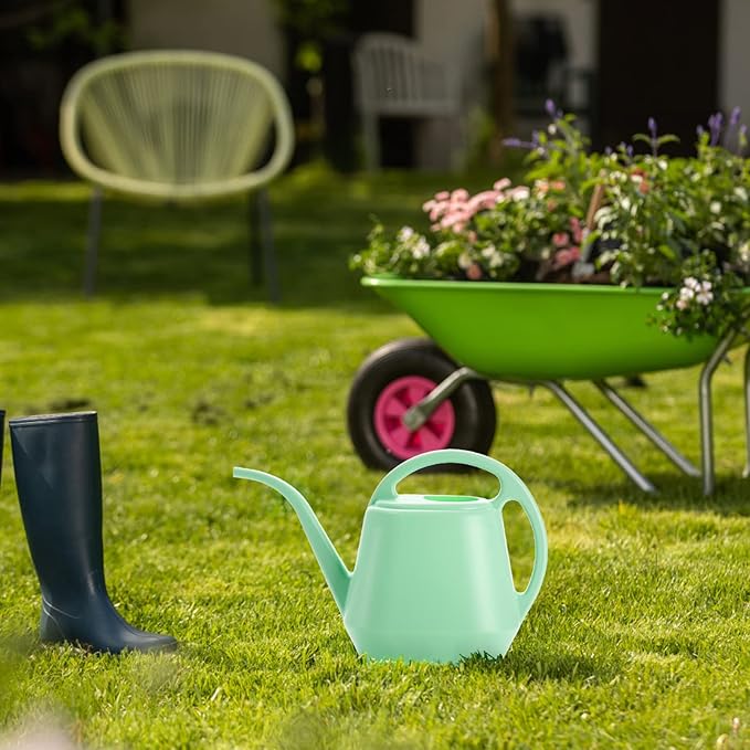 Fasmov Plastic Watering Can, 1-Gallon, Pine Green
