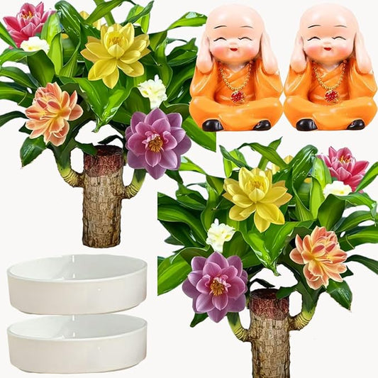 Brazilian Lucky Wood Plant, Brazilian Wood with Energy Crystals, Low-Light Office, Bedroom Decor, Home Good Luck Decor (2 Yellow)