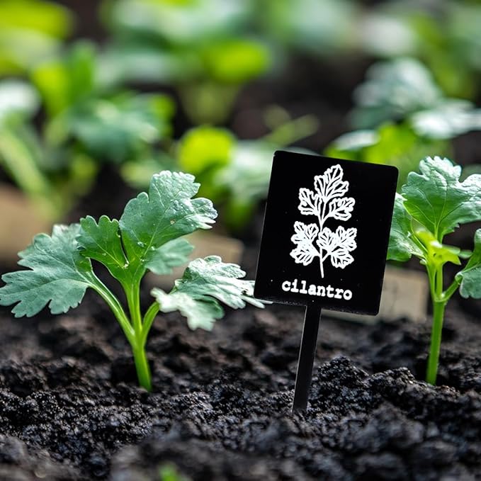 24Pcs Garden Herb Markers Acrylic Plant Label Signs Plant Stake Tags Reusable Black Waterproof Tags with Herb Names for Nursery Seedlings Potted Greenhouse Indoor Outdoor Garden Decoration