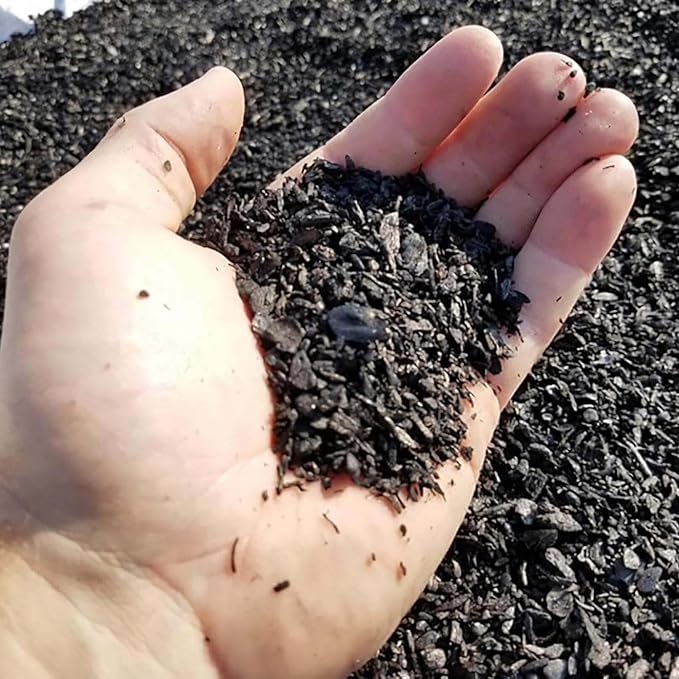 Char Bliss (8 Qts) - Organic Biochar for Plants - OMRI-Listed Biochar Soil Amendment Organic - Bio Char for Plants - Horticultural Charcoal for Plants, Potting Soil, Garden Soil, & Potting Mixes
