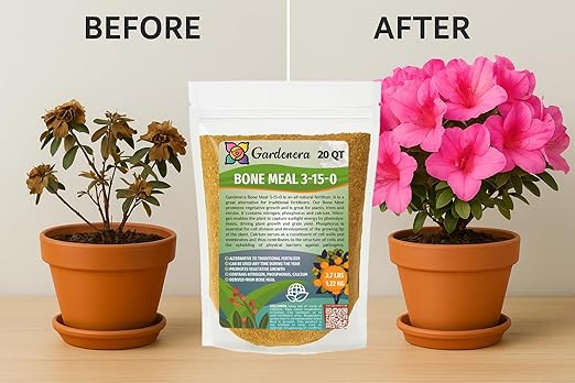 𝐁𝐄𝐒𝐓𝐒𝐄𝐋𝐋𝐄𝐑 Organic Bone Meal Fertilizer by Gardenera (4-12-0 NPK) All-Natural Plant Food Source of Nitrogen and Phosphorus for Bulbs, Gardens, Potted Plants, Trees, and Shrubs - 1 Quart