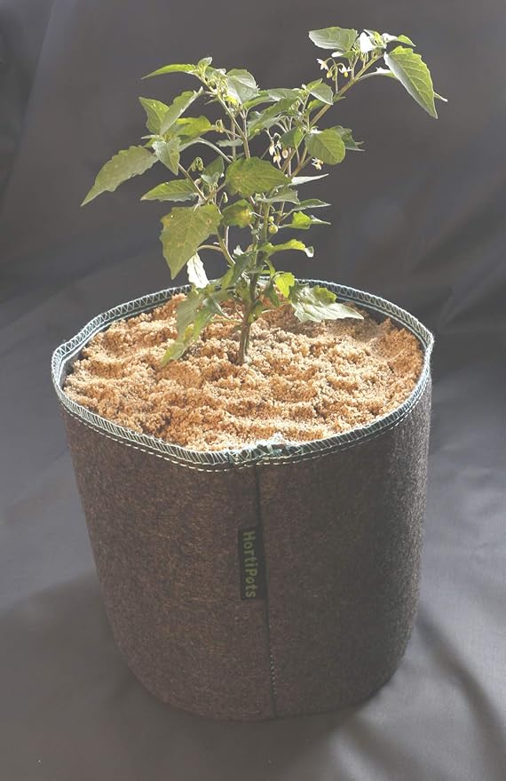 HORTIPOTS Fabric Pots 1 Gallon Non So Floppy Air Pruning Cloth Grow Bags Black Gray (Pack of 6)