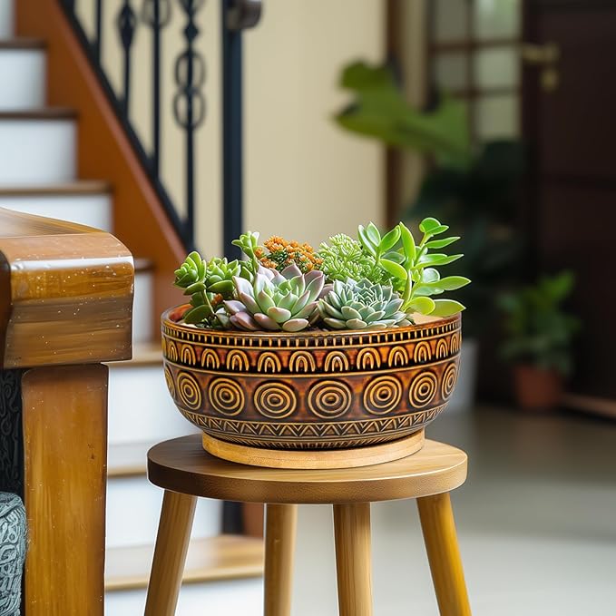 Bonsai Pots 8 Inch - Ceramic Succulent Planters for Indoor Plants, Shallow Plant Pots with Drainage Hole and Saucer, Boho Round Planter Bowl, Office Decor, Brown