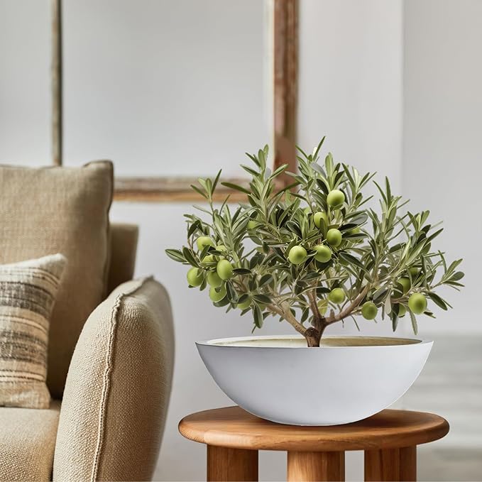 7.7"H x 22"D Round Bowl Fiberstone Planter for Succulent and Lotus - Christmas Tree Planter, Weather Resistant for Indoor & Outdoor Use, Included 2 Extra Coco Mats (White, 19.9" Pot Opening)