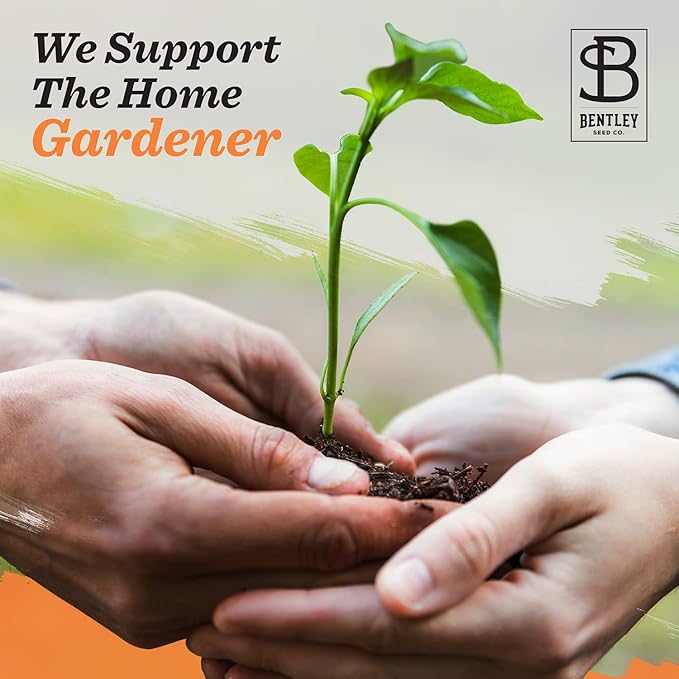 Bentley 20 Pack Garden Seeds for Planting - Non GMO Vegetable Variety Pack for Indoor and Outdoor Growing