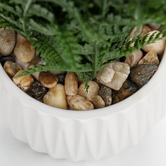 DILATATA Faux Plant Indoor in Ceramic Pot 13" Artificial Potted Fern Fake House Plants for Desk Office Bathroom Garden Decoration