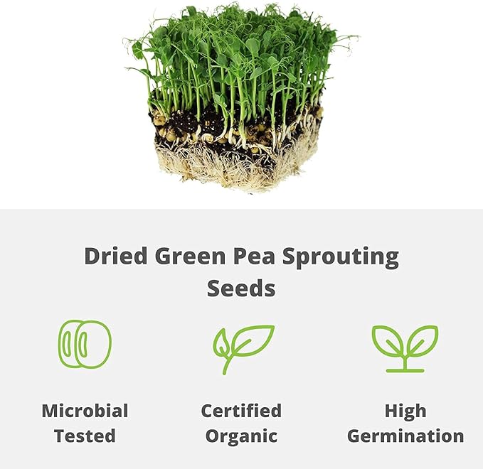 Green Pea Sprouting Seed - 2.5 Lb - Handy Pantry Brand - Green Pea for Sprouts, Garden Planting, Cooking, Soup, Emergency Food Storage, Vegetable Gardening