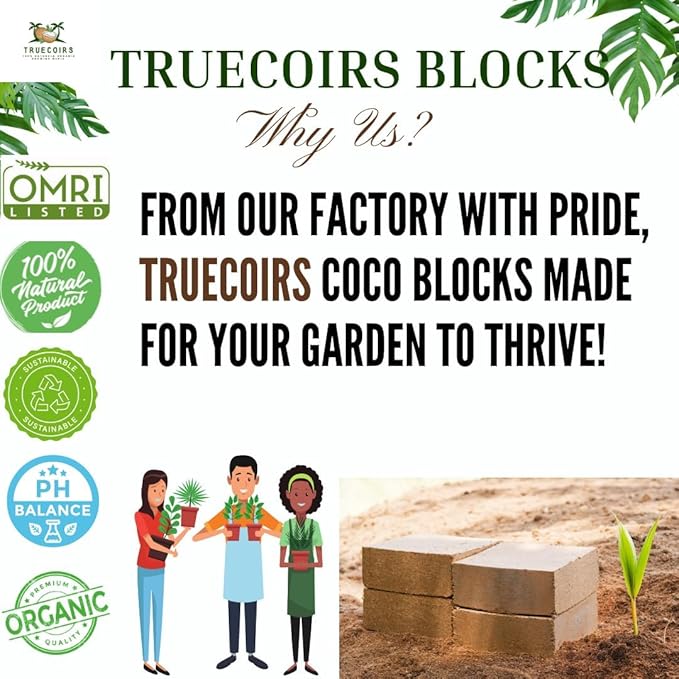 100mm Organic Coco Coir Seed Starter Pellets,Starter Plugs,Potting Soil Pellets -25 pcs - Just Add Water - Seed Starting, Plants&More