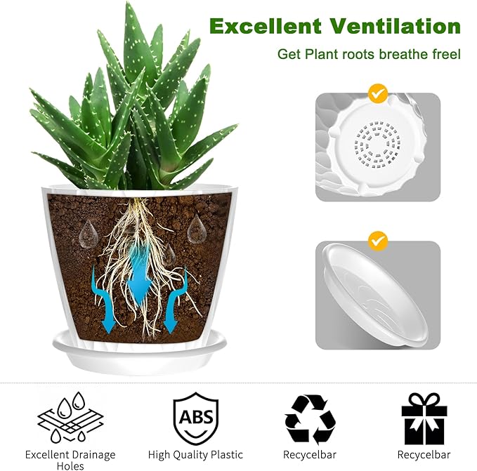 6 Pack 6 Inch Indoor Plant Pots with Drainage Holes, Outdoor Plastic Decorative Flower Pots, Garden Planters with Tray Saucers for Orchids, Violets, Succulents, Herbs, and Other Plants