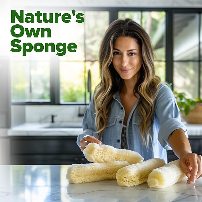 HOME GROWN Luffa Seeds (Luffa aegyptiaca) 40 Heirloom Loofah Gourd Seeds for Planting High Germination Rate - Make Sponges or Harvest Young Loofahs for Eating
