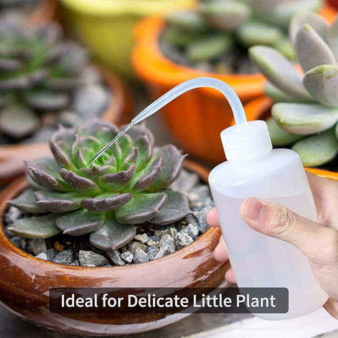 Goowin Indoor Plants Watering Can - Long Spout 47 oz with Bonus 16 oz Spray Bottle & 8.5 oz Squeeze Bottle, Green