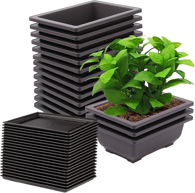 15 PCS 6.5 Inch Bonsai Training Pots with Trays, Rectangular Plastic Growing Pots, Flower Succulent Pots Container for Garden, Yard, Office, Porch, Balcony, Home Decoration